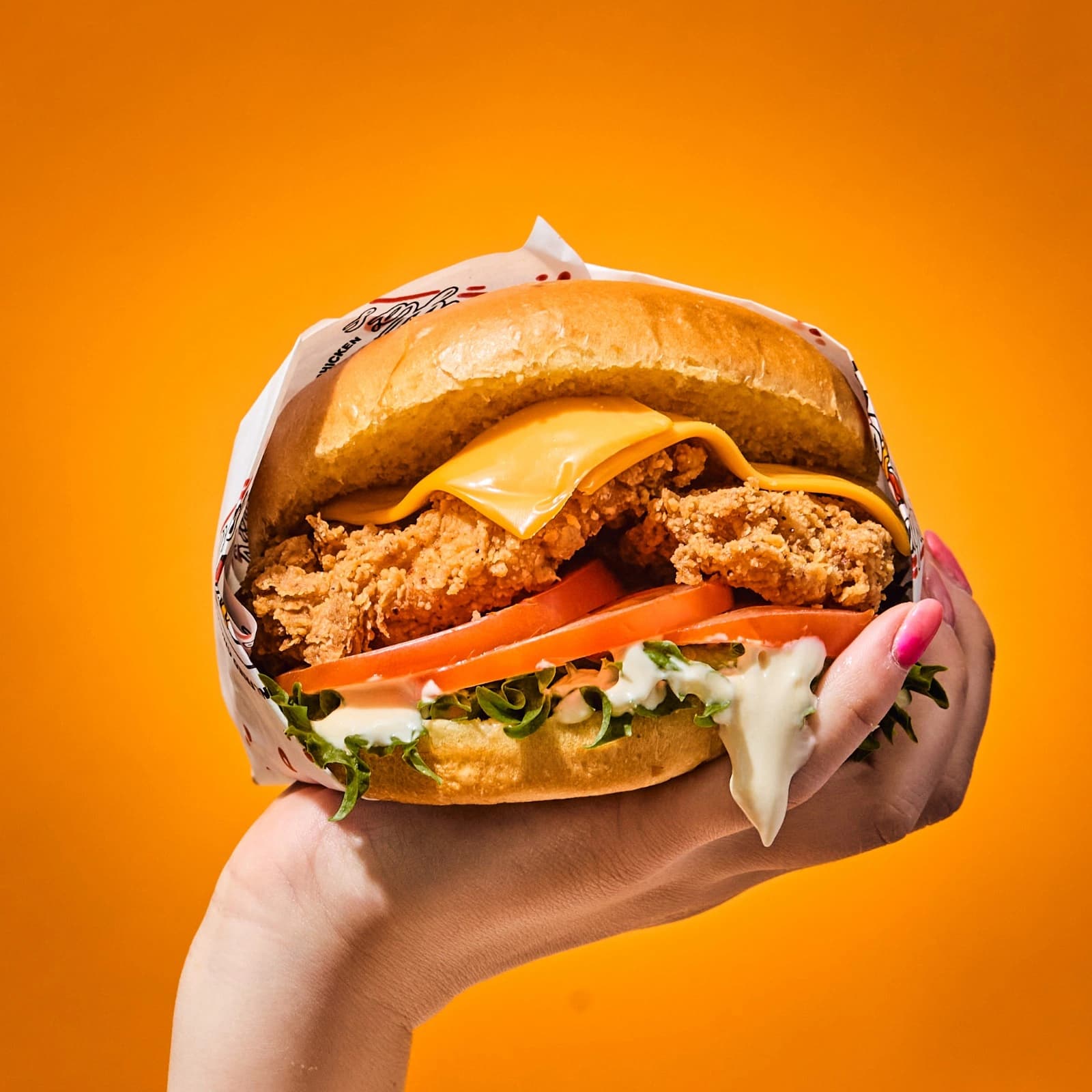Caylo's franchise opportunity