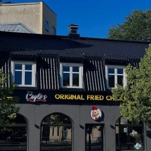 Fried Chicken Franchisee