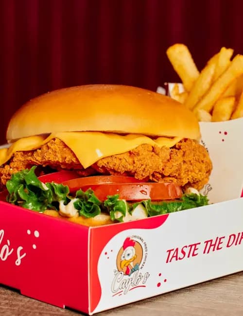 Best Chicken Burgers